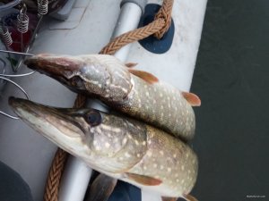 IMG_20171026_162626.jpg