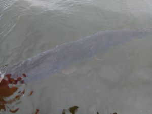 IMG_20171026_120309.jpg