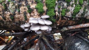 20171028_091759.jpg