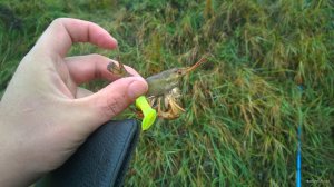 WP_20171028_009[1].jpg