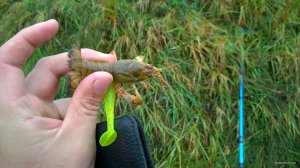 WP_20171028_011[1].jpg