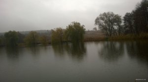 WP_20171028_013[1].jpg
