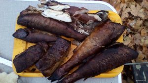 IMG_20171027_165234.jpg