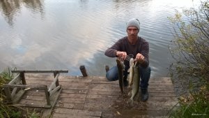 WP_20171022_16_40_44_Pro.jpg