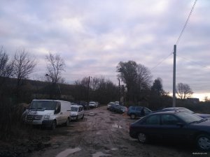 IMG_20171029_071532.jpg
