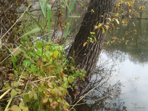 20171029_125244.jpg