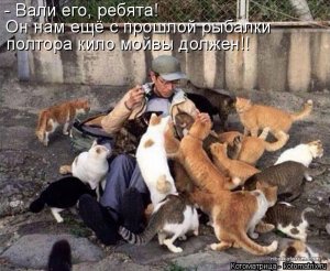 kotomatritsa_J.jpg