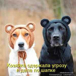 kotomatritsa_J (1).jpg