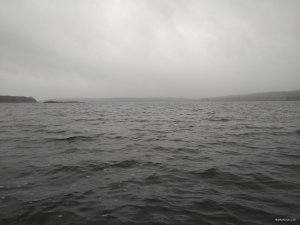 IMG_20171102_085451.jpg