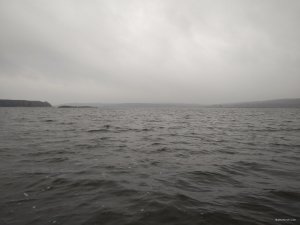 IMG_20171102_085446.jpg