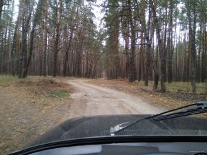 IMG_20171101_121656.jpg