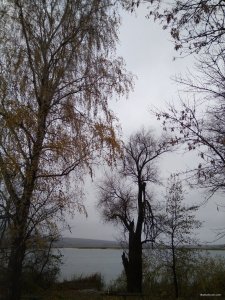 IMG_20171102_134456.jpg