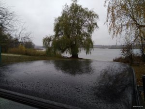 IMG_20171102_134926.jpg