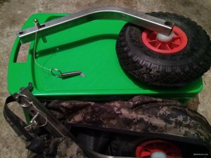 IMG_20171031_131016.jpg