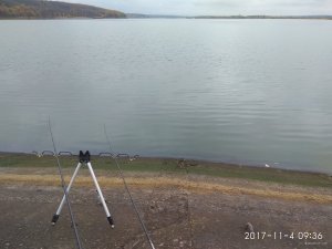 IMG_20171104_093656.jpg