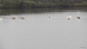 IMG_1433.JPG