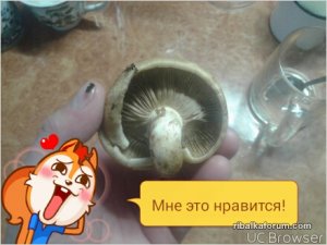 TMPDOODLE1509806141563.jpg