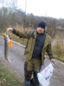 IMG_20171104_155827.jpg