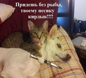 image-0-02-04-449d6c7c0e9406b2fb887da3b7b9c830c996366b167bf0194c8e461f78c83663-V.jpg