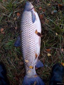 20171105_163129.jpg