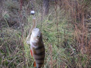 IMG_6804.JPG