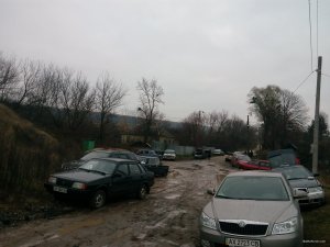IMG_20171105_065146.jpg