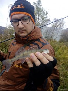 IMG_20171105_133603.jpg