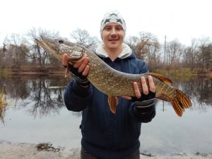 IMG_20171105_144905.jpg