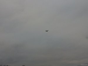 IMG_20171105_151442.jpg