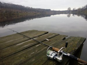 IMG_20171105_145042.jpg