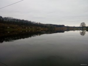 IMG_20171105_151843.jpg