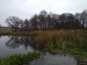 IMG_20171105_081838.jpg