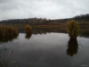 IMG_20171105_122902.jpg