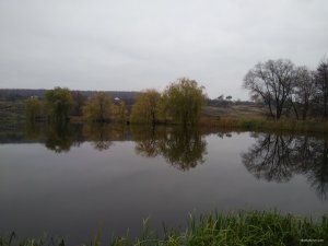 IMG_20171105_081850.jpg