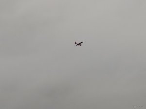 IMG_20171105_151412.jpg