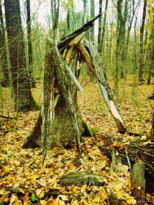 IMG_20171105_194755.jpg