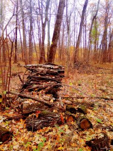 IMG_20171105_194911.jpg