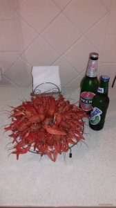20171105_193322.jpg