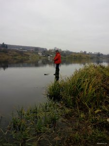 IMG_20171105_080959.jpg