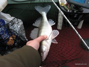 IMG_2784.JPG