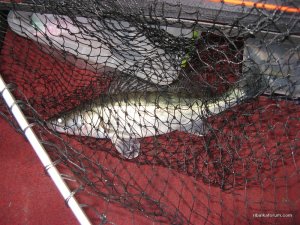 IMG_2811.JPG
