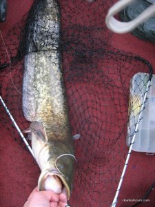 IMG_2814.JPG