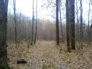 071120171777.jpg