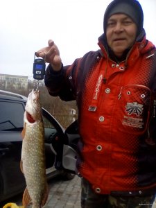 IMG_20171107_143136.jpg