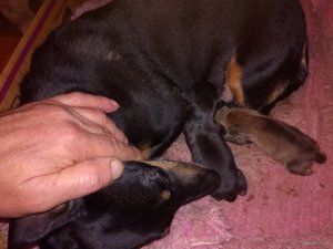 IMG_20171109_124323.jpg