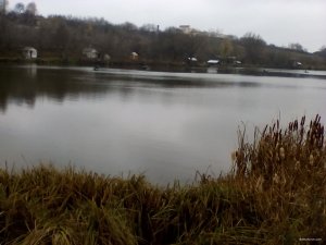 IMG_20171111_102141.jpg