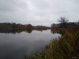 IMG_20171111_084325.jpg