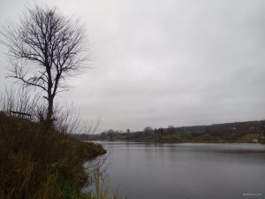 IMG_20171111_084351.jpg