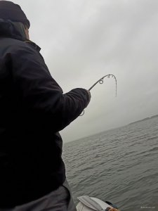 20171111_081143.jpg