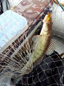 20171111_121139.jpg
